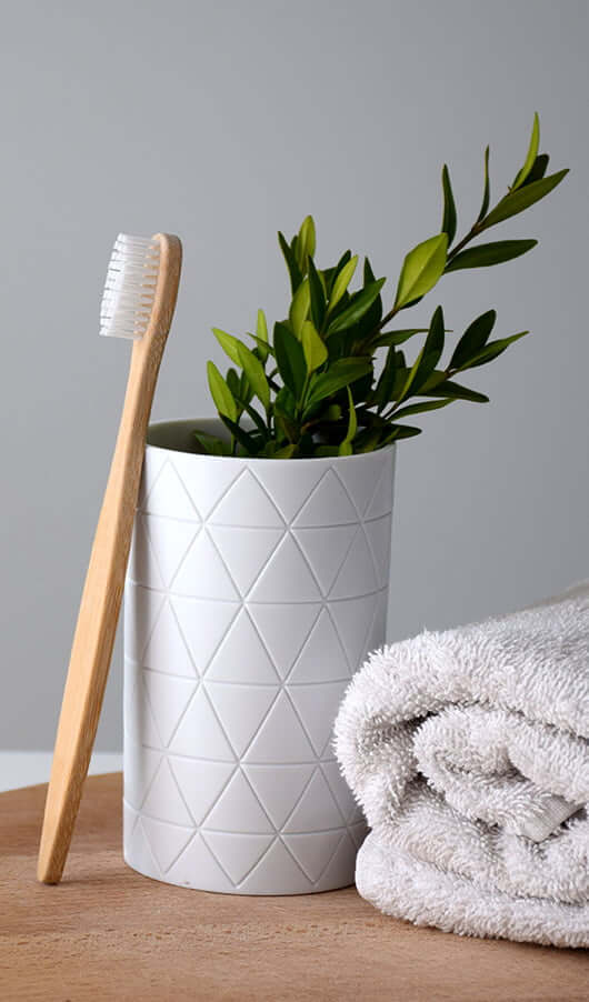 toothbrush stood up against a potted plant