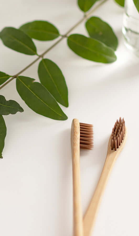 two toothbrushes laying next to some leaves