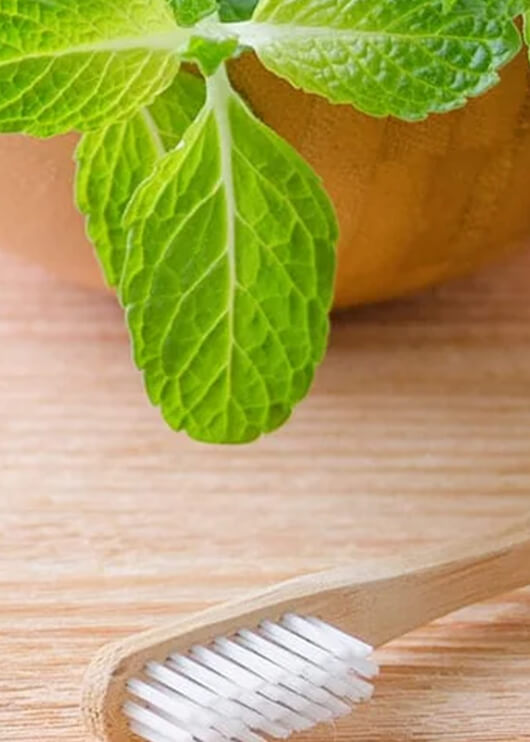 a toothbrush next to fresh mint