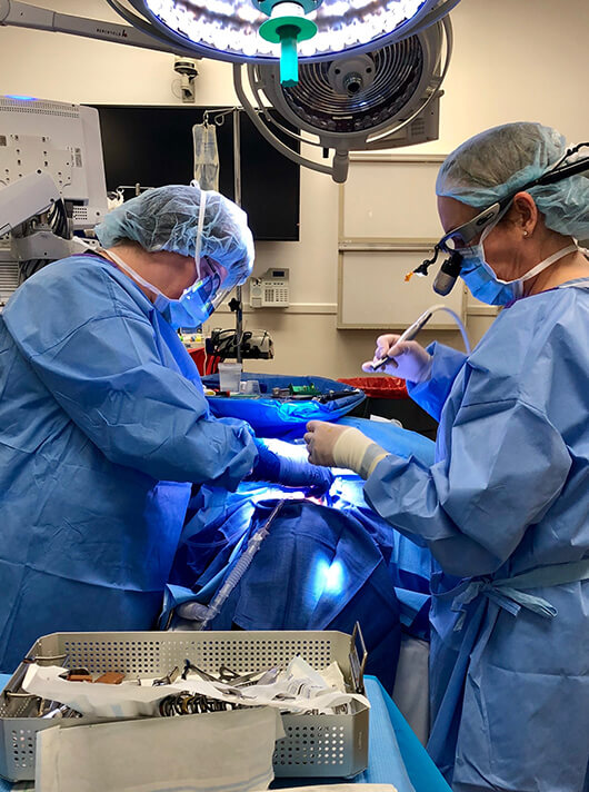 dental associate working on patient